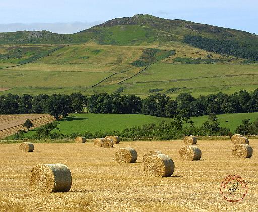 Scottish Borders Rubers Law 9A50D-23.JPG